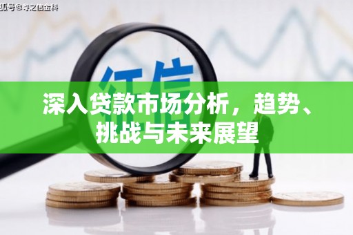 桃城深入贷款市场分析，趋势、挑战与未来展望