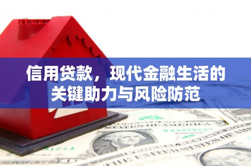 桃城信用贷款，现代金融生活的关键助力与风险防范