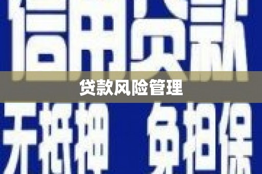 桃城贷款风险管理