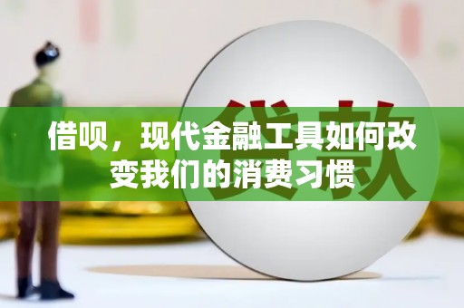 桃城借呗，现代金融工具如何改变我们的消费习惯