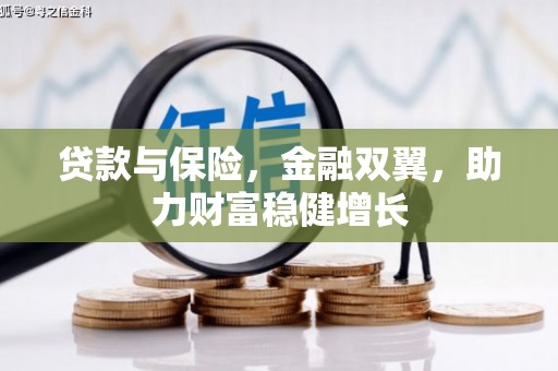 桃城贷款与保险，金融双翼，助力财富稳健增长