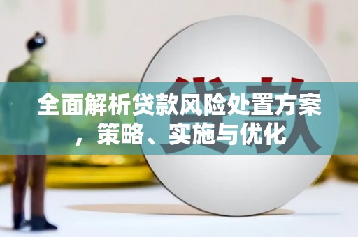 桃城全面解析贷款风险处置方案，策略、实施与优化