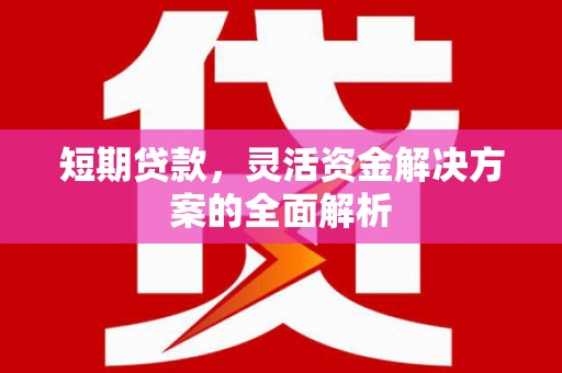 桃城短期贷款，灵活资金解决方案的全面解析