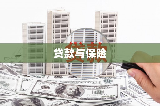 桃城贷款与保险