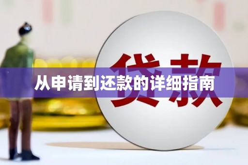 桃城从申请到还款的详细指南