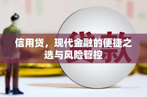 桃城信用贷，现代金融的便捷之选与风险管控