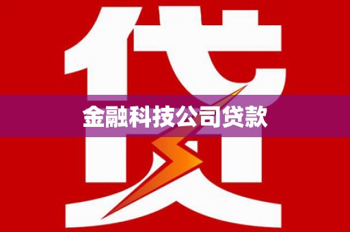 桃城金融科技公司贷款