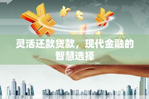 桃城灵活还款贷款，现代金融的智慧选择