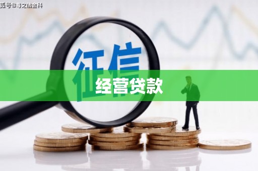 桃城经营贷款