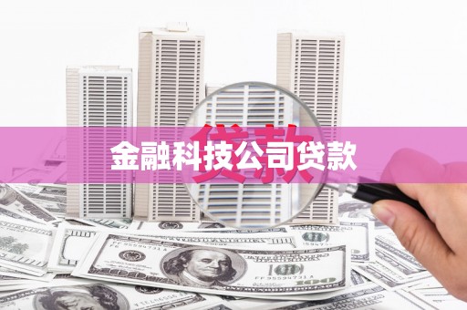 桃城金融科技公司贷款
