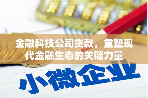 桃城金融科技公司贷款，重塑现代金融生态的关键力量