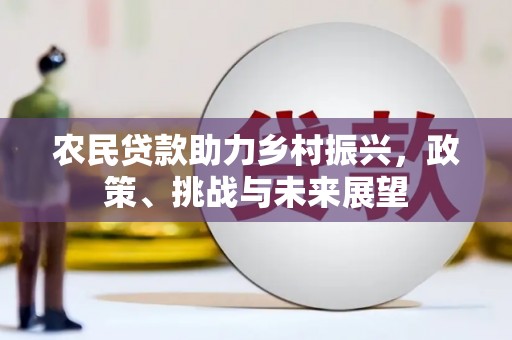 桃城农民贷款助力乡村振兴，政策、挑战与未来展望
