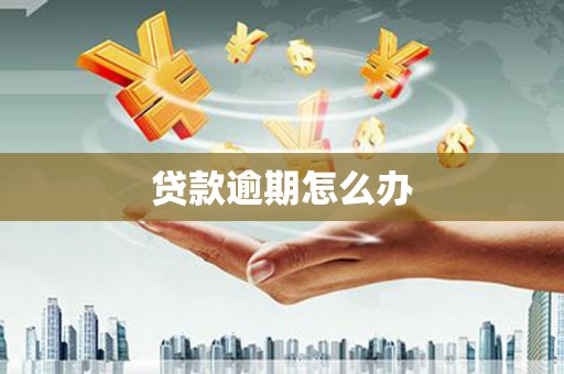 桃城贷款逾期怎么办