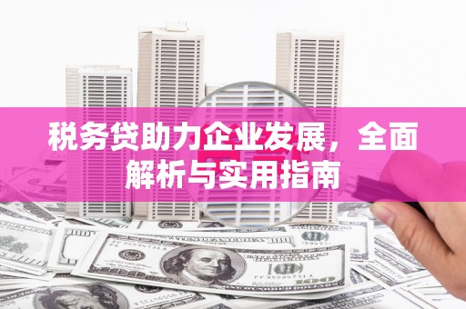桃城税务贷助力企业发展，全面解析与实用指南