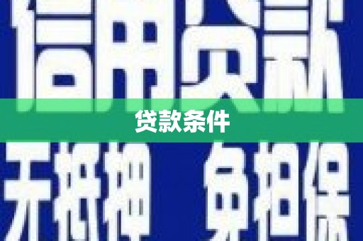 桃城贷款条件