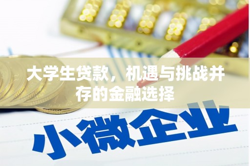 桃城大学生贷款，机遇与挑战并存的金融选择