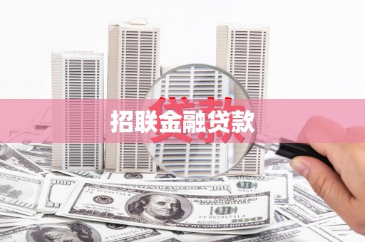 桃城招联金融贷款