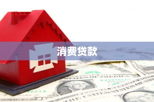 桃城消费贷款