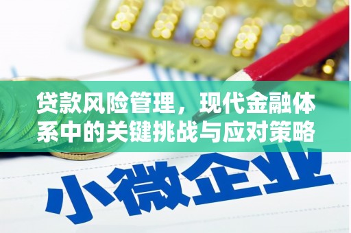 桃城贷款风险管理，现代金融体系中的关键挑战与应对策略
