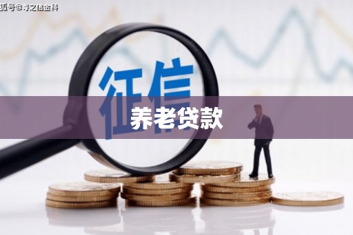桃城养老贷款