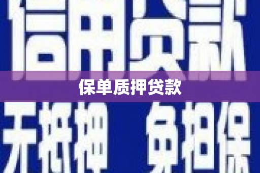 桃城保单质押贷款