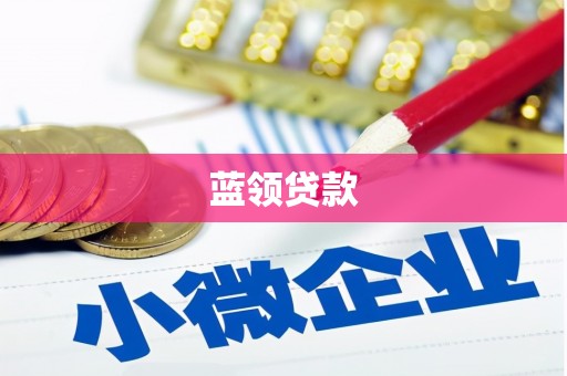 桃城蓝领贷款