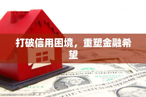 桃城打破信用困境，重塑金融希望
