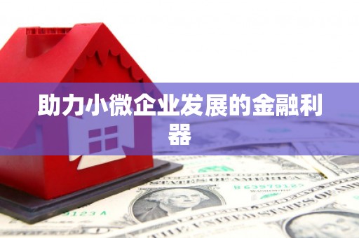 桃城助力小微企业发展的金融利器