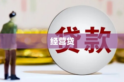 桃城经营贷