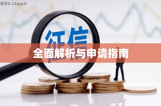 桃城全面解析与申请指南