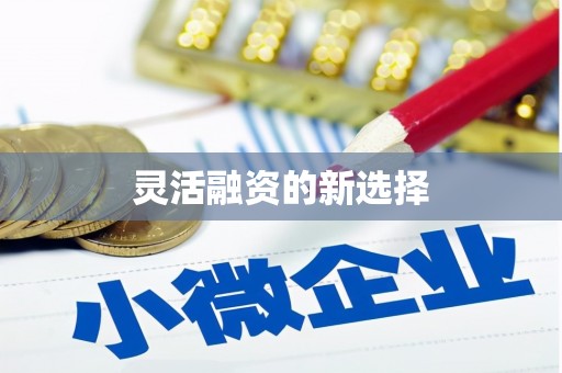 桃城灵活融资的新选择