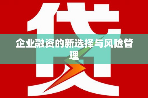 桃城企业融资的新选择与风险管理