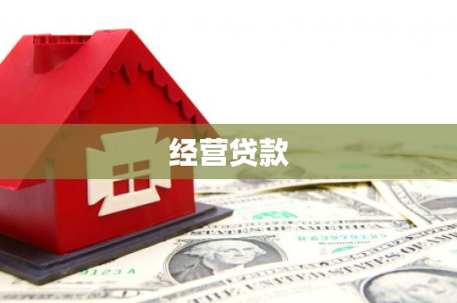 桃城经营贷款