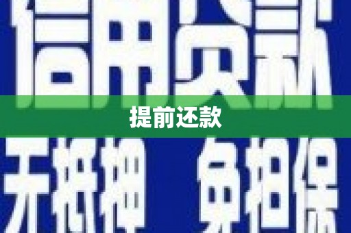 桃城提前还款