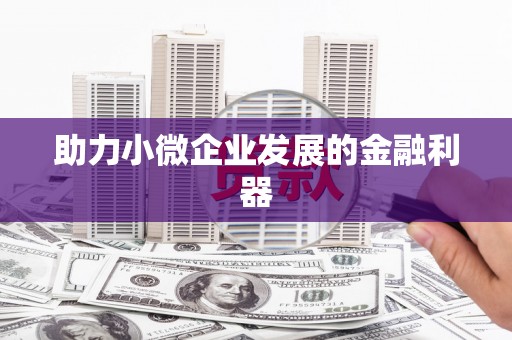 桃城助力小微企业发展的金融利器