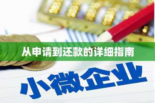 桃城从申请到还款的详细指南
