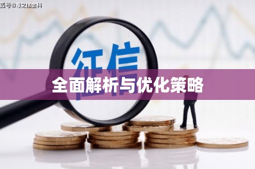 桃城全面解析与优化策略